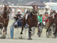 Nelson Harness Races Winter Cup Festival Package for 10 people value $540! image